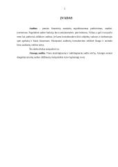 Atsargų audito esmė, ypatybės, būdai 2 puslapis