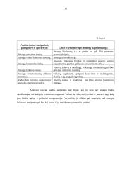 Atsargų audito esmė, ypatybės, būdai 13 puslapis