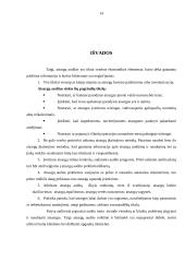 Atsargų audito esmė, ypatybės, būdai 14 puslapis