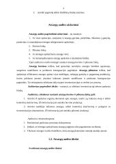 Atsargų audito esmė, ypatybės, būdai 4 puslapis