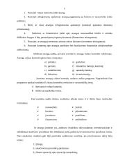 Atsargų audito esmė, ypatybės, būdai 5 puslapis