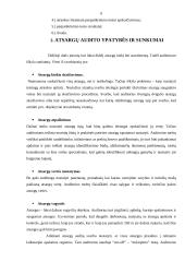 Atsargų audito esmė, ypatybės, būdai 6 puslapis