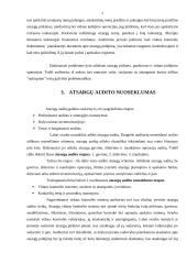 Atsargų audito esmė, ypatybės, būdai 7 puslapis
