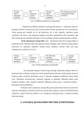 Atsargų audito esmė, ypatybės, būdai 9 puslapis