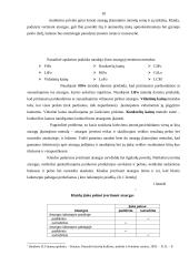 Atsargų audito esmė, ypatybės, būdai 10 puslapis