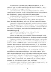 Auditorių santykiai su klientais 9 puslapis