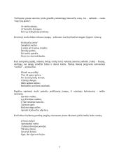 Istorinės praeities atspindys Maironio eilėraščiuose 5 puslapis