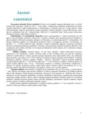 Augalų poveikis 5 puslapis