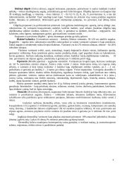 Augalų poveikis 6 puslapis