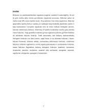 Baltymo biosintezė 2 puslapis