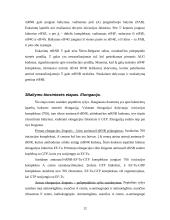 Baltymo biosintezė 12 puslapis