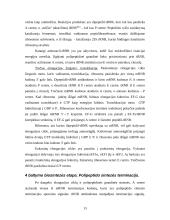 Baltymo biosintezė 13 puslapis