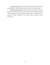 Baltymo biosintezė 16 puslapis