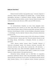 Baltymo biosintezė 3 puslapis