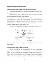 Baltymo biosintezė 7 puslapis