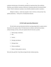 Bankines operacijas patvirtinantys dokumentai 9 puslapis