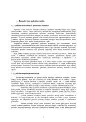 Bendra buhalterinės apskaitos raida ir charakteristika 3 puslapis