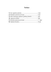 Bendrai priimti apskaitos principai