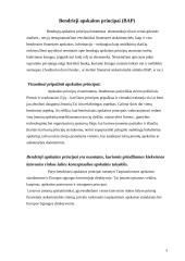 Bendrai priimti apskaitos principai 3 puslapis