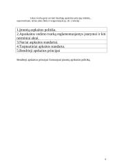 Bendrai priimti apskaitos principai 4 puslapis