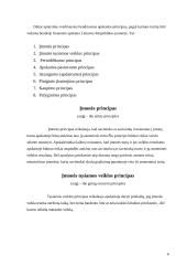 Bendrai priimti apskaitos principai 6 puslapis