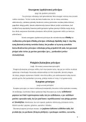 Bendrai priimti apskaitos principai 8 puslapis