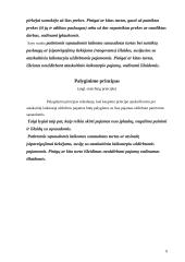 Bendrai priimti apskaitos principai 9 puslapis