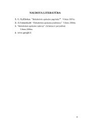 Bendrai priimti apskaitos principai 10 puslapis