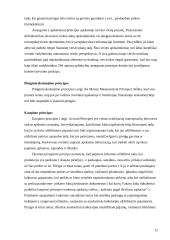 Bendrieji buhalterinės apskaitos principai ir uždaviniai 11 puslapis