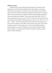 Bendrieji buhalterinės apskaitos principai ir uždaviniai 12 puslapis