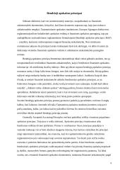 Bendrieji buhalterinės apskaitos principai ir uždaviniai 3 puslapis