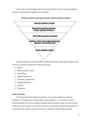 Bendrieji buhalterinės apskaitos principai ir uždaviniai 5 puslapis