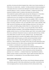 Bendrieji buhalterinės apskaitos principai ir uždaviniai 6 puslapis