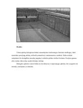 Biologinis nuotekų valymas 15 puslapis