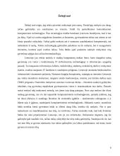 Mokymosi visą gyvenimą memorandumo idėjų raiška 6 puslapis