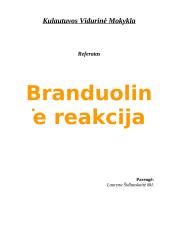 Branduolinė reakcija
