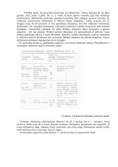Brangakmeniai ir jų kokybė 13 puslapis