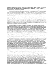 Politinės sistemos samprata 3 puslapis