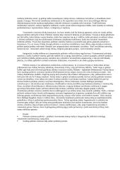 Politinės sistemos samprata 4 puslapis