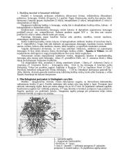 Braškės. Braškių istorinė ir botaninė reikšmė 2 puslapis