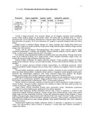 Braškės. Braškių istorinė ir botaninė reikšmė 11 puslapis