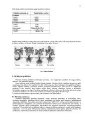 Braškės. Braškių istorinė ir botaninė reikšmė 12 puslapis