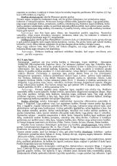 Braškės. Braškių istorinė ir botaninė reikšmė 17 puslapis