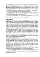 Braškės. Braškių istorinė ir botaninė reikšmė 19 puslapis