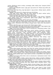 Braškės. Braškių istorinė ir botaninė reikšmė 5 puslapis