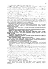 Braškės. Braškių istorinė ir botaninė reikšmė 6 puslapis