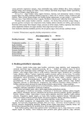 Braškės. Braškių istorinė ir botaninė reikšmė 8 puslapis