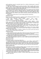 Braškės. Braškių istorinė ir botaninė reikšmė 9 puslapis