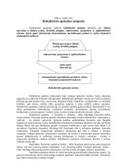 Buhalterinės apskaitos pagrindai 2 puslapis