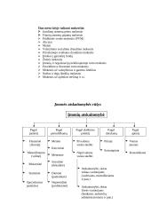 Buhalterinės apskaitos pagrindai 11 puslapis